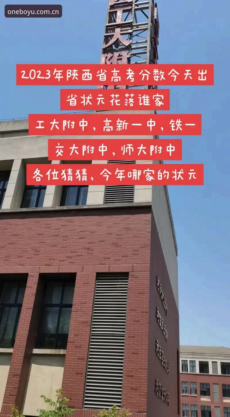 别急着押注状元花落谁家。2026年选秀大会最值钱的不是那个名字，而是奇才管理层握笔签字前的那三分钟。北京时间6月24日上午8点，当大卫·斯特恩（当然，如今是肖华）念出第一个名字时，背后藏着的是一整年的球探报告、试训录像和无数次会面谈判——而这一切，比任何一场常规赛都更考验人的判断力。
